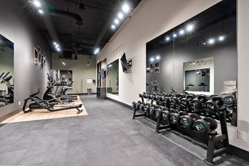 A gym with a row of dumbbells on the right and a row of treadmills on the left.